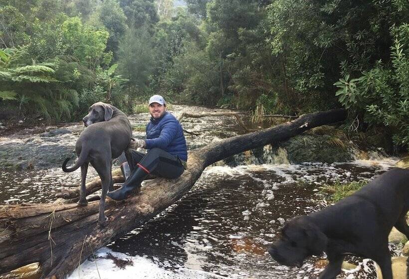 بنسيون A Riverbed Guesthouse