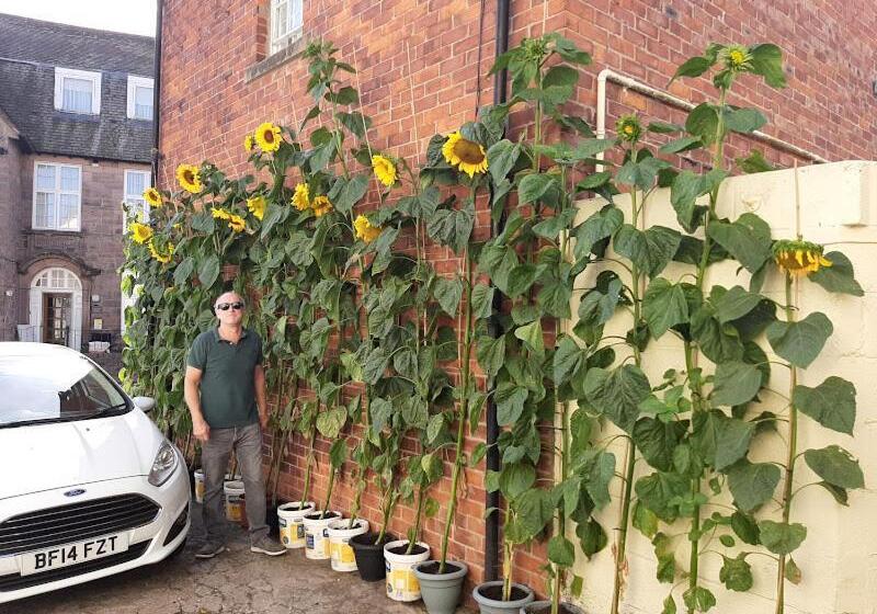 Pansiyon Mirandas Guest House