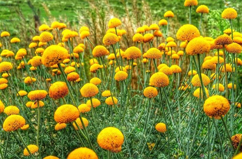 Отель Pastravaria Ursu