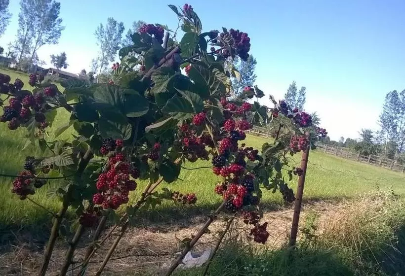 هتل Agriturismo Cascina Bullona