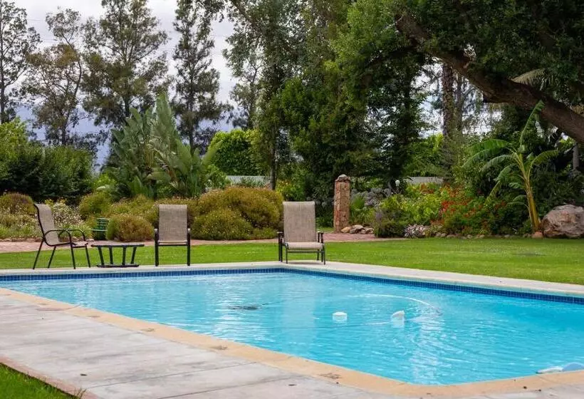 Majatalo Green Olive Guesthouse