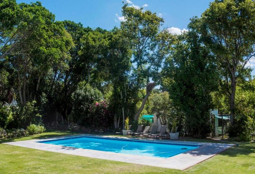 Пансион Green Olive Guesthouse