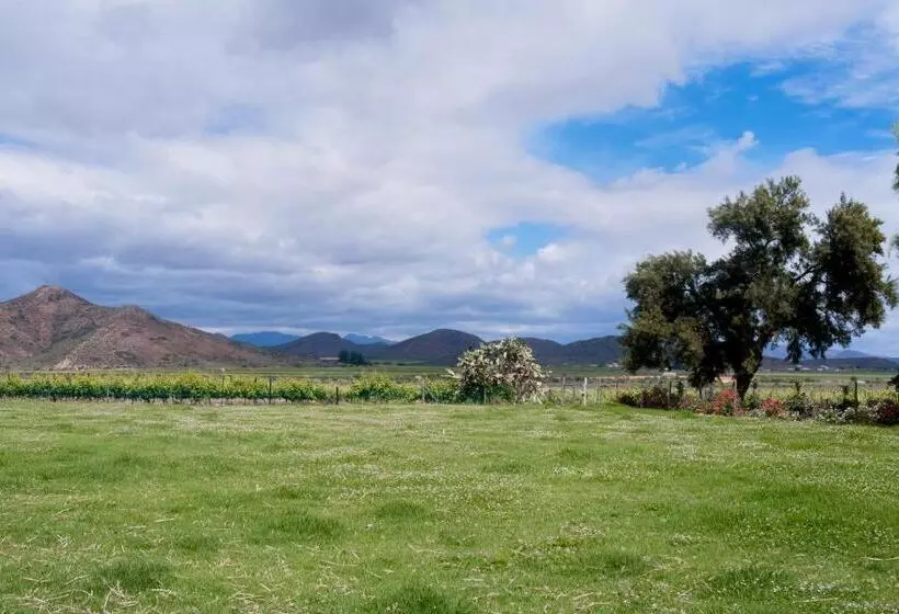 Majatalo Green Olive Guesthouse