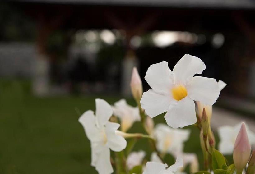 펜션 Győri Vendégház