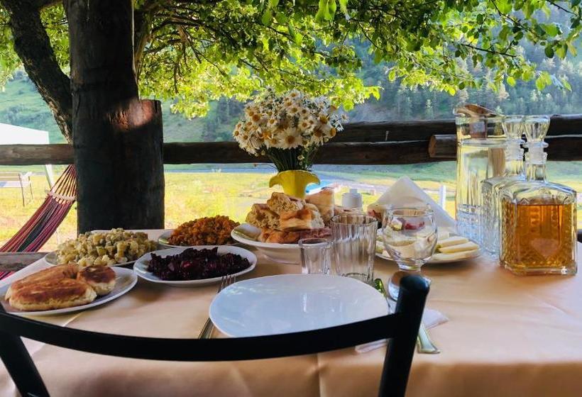 پانسیون Pirikiti