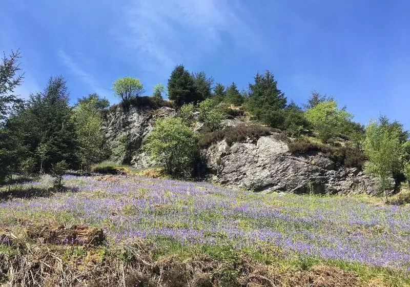 Aamiaismajoitus (B&B) Twostones