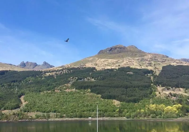 Aamiaismajoitus (B&B) Twostones