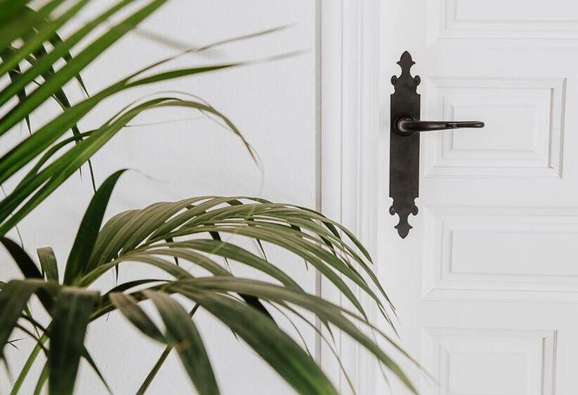 فندق Cortijo Santa Clara