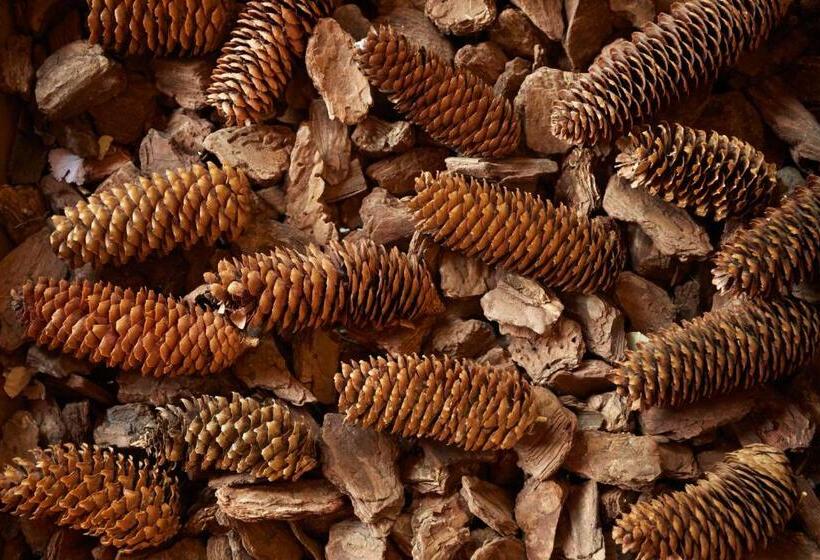 Отель Et Del Bac