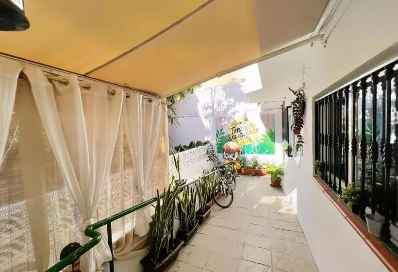 Majatalo Tenerife Experience Hostel