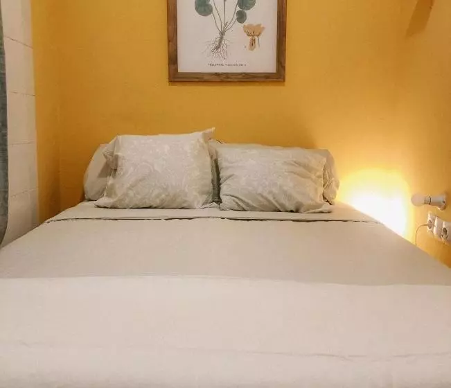 The Urban Jungle Hostel