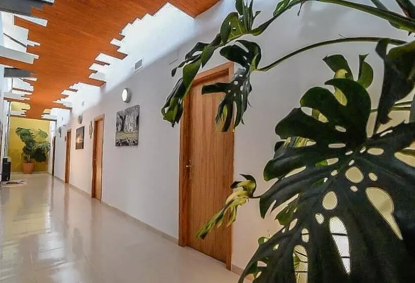 ペンション Hostal Rural Ben Nassar
