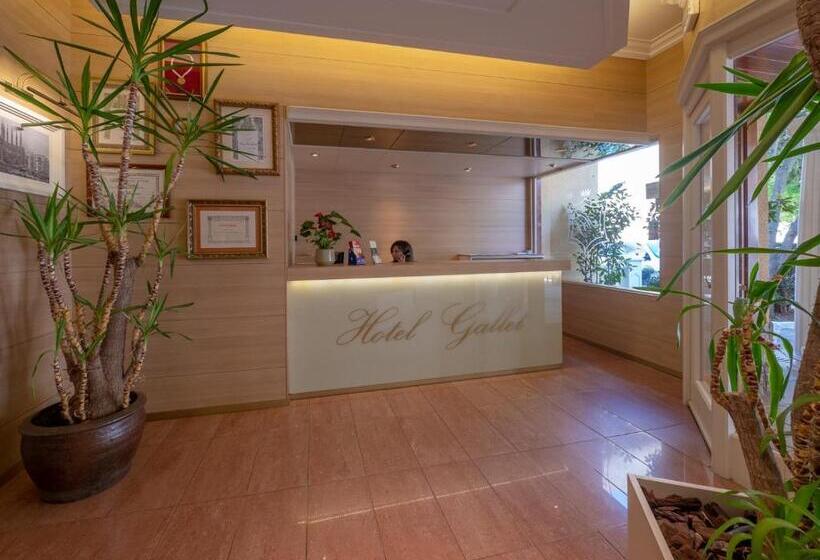 פנסיון Hostal Gallet