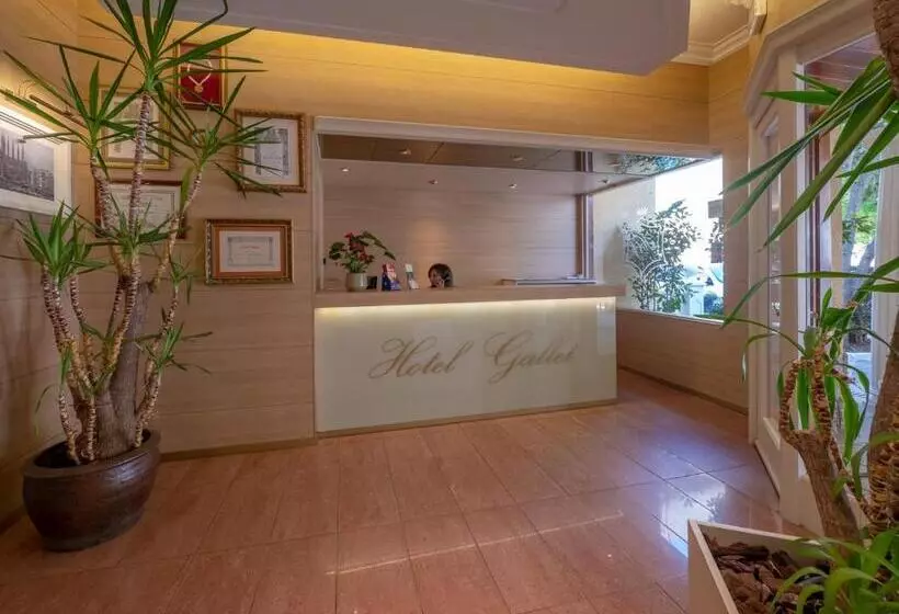 Pension  Hostal Gallet