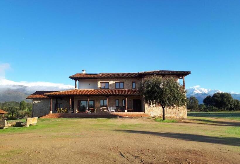 פנסיון Sakura Vera