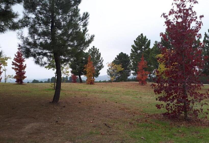 פנסיון Sakura Vera