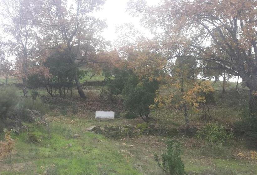 פנסיון Sakura Vera