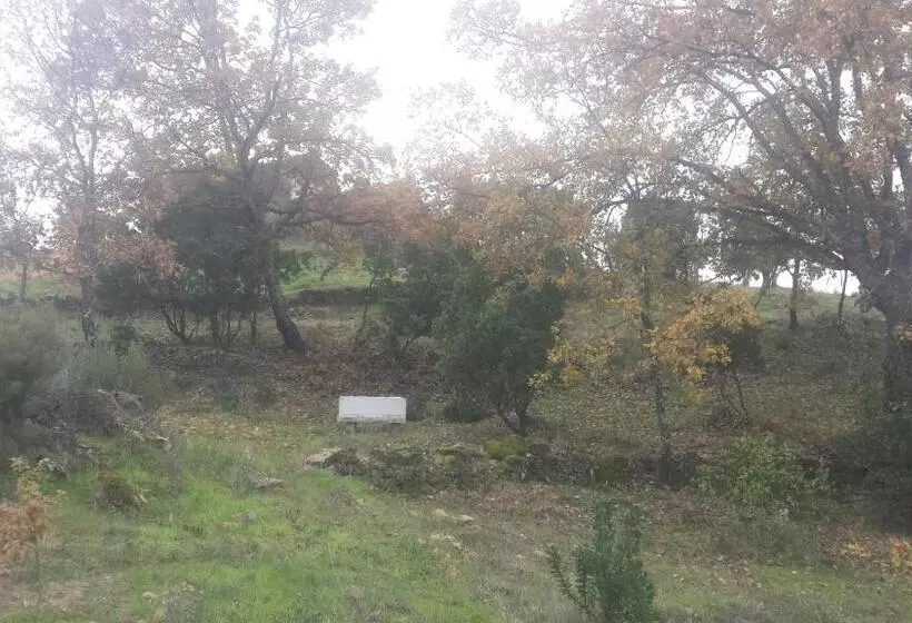 ペンション Sakura Vera