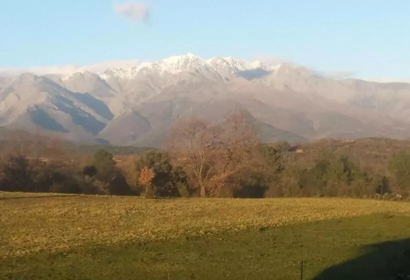 ペンション Sakura Vera