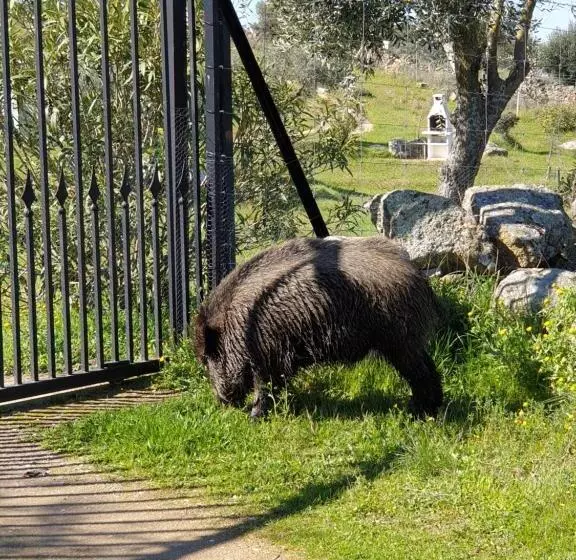 Retkeilymaja El Huésped Del Sevillano Ar