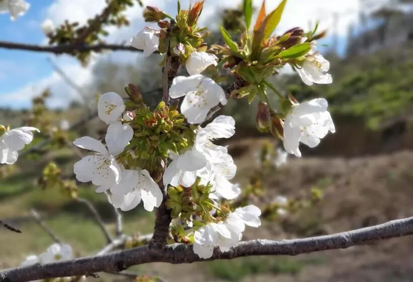 Retkeilymaja El Huésped Del Sevillano Ar