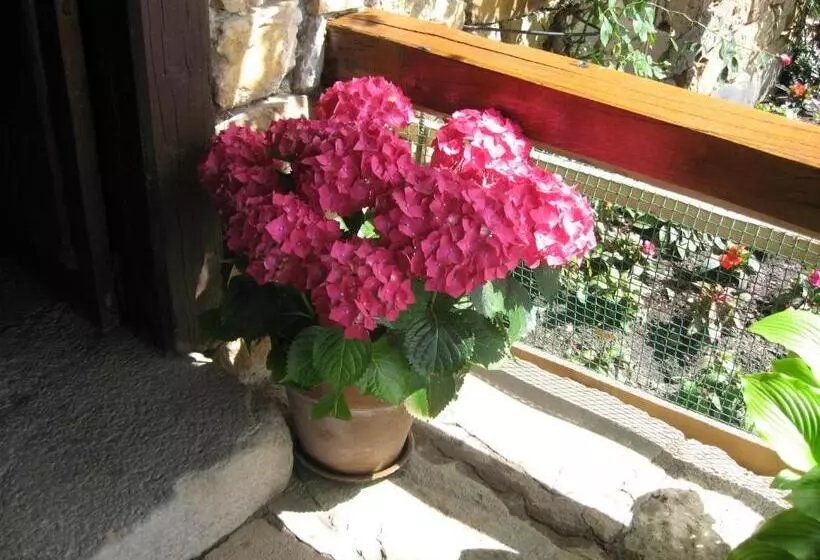 ユースホステル Posada Torcaz