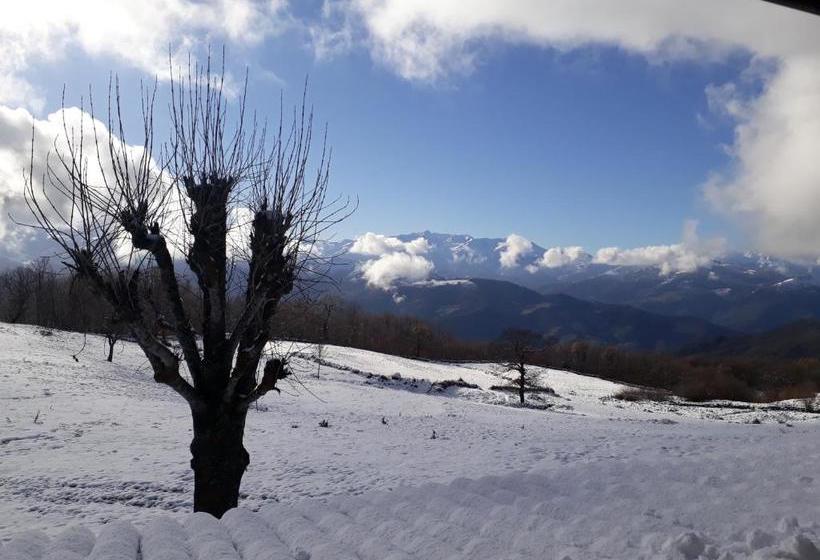 ユースホステル Posada Torcaz