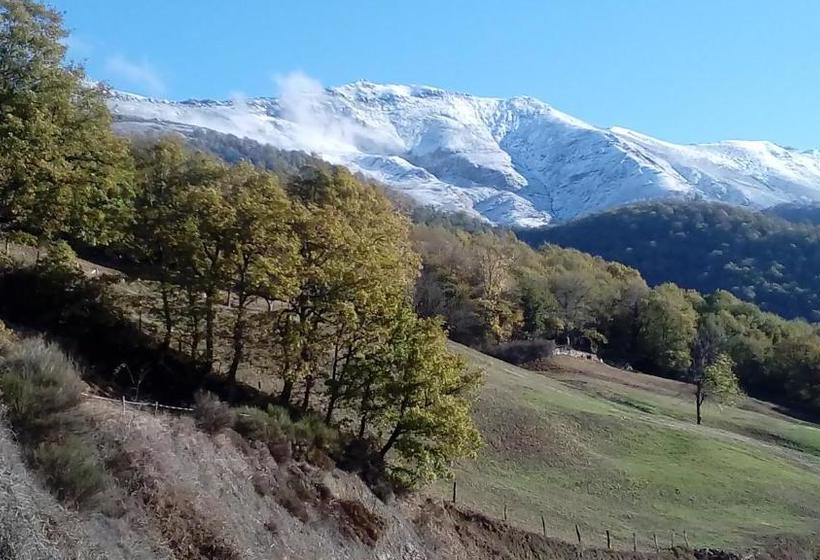 ユースホステル Posada Torcaz