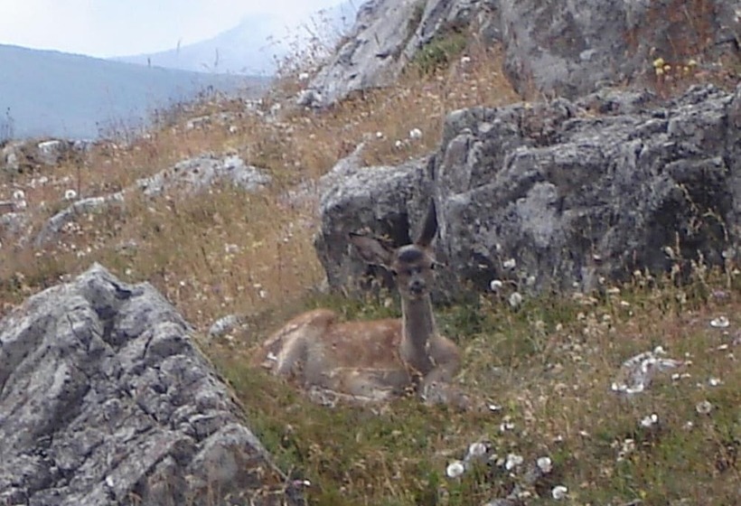 Общежитие Vaquero Casa Rural Alquiler Completo