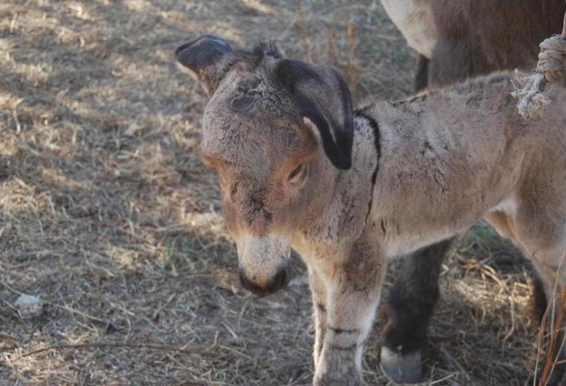 هتل Tapada Da Rabela Reserva Natural
