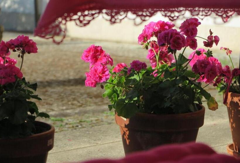 بنسيون Solar De Santa Maria