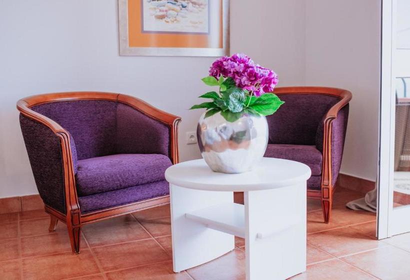 پانسیون Villa Amore Accommodation