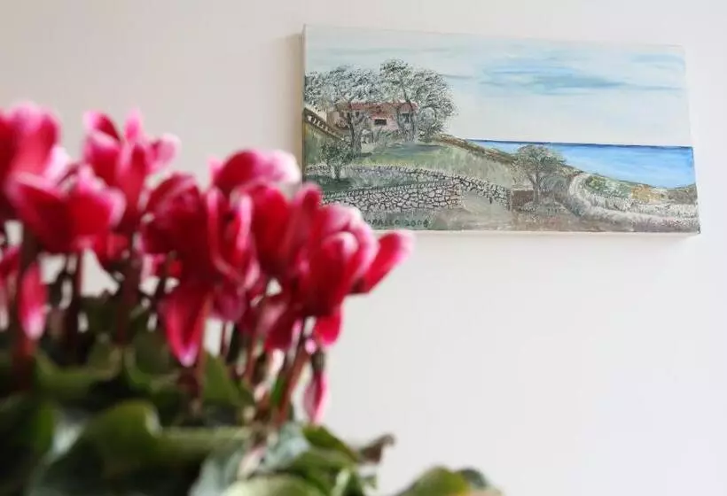 پانسیون Aurienzia