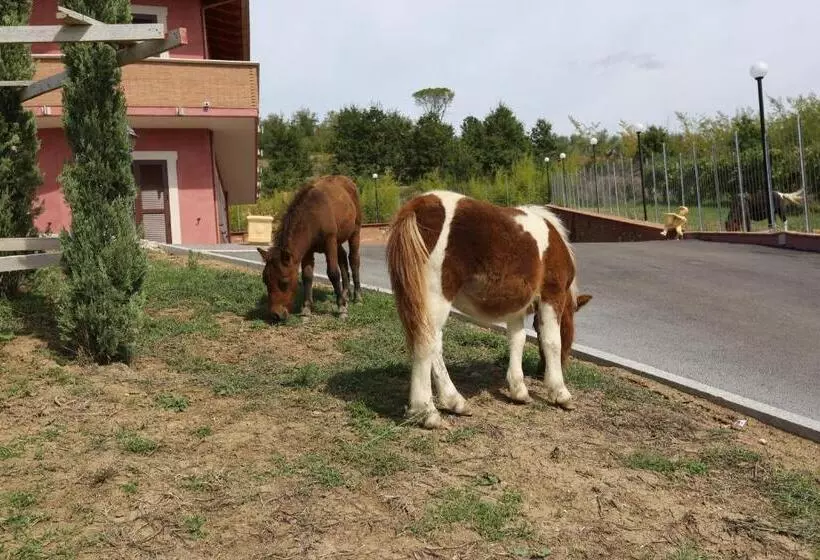 Agriturismo Ciociaro  Il Colle  Hotel Ristorante