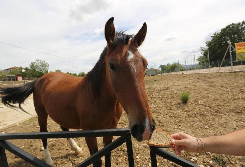 Agriturismo Ciociaro  Il Colle  Hotel Ristorante