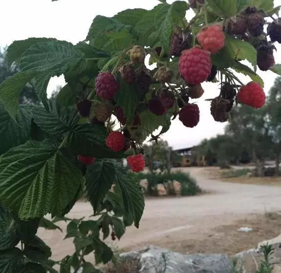 Hotelli Agriturismo Armienti