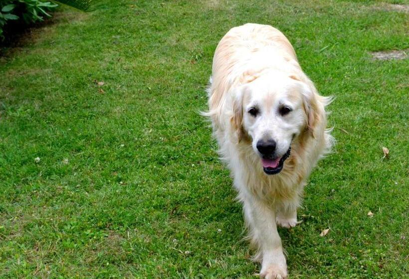 호텔 Agriturismo Il Tripesce