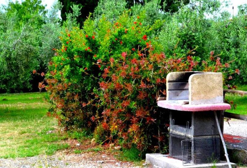 호텔 Agriturismo Il Tripesce