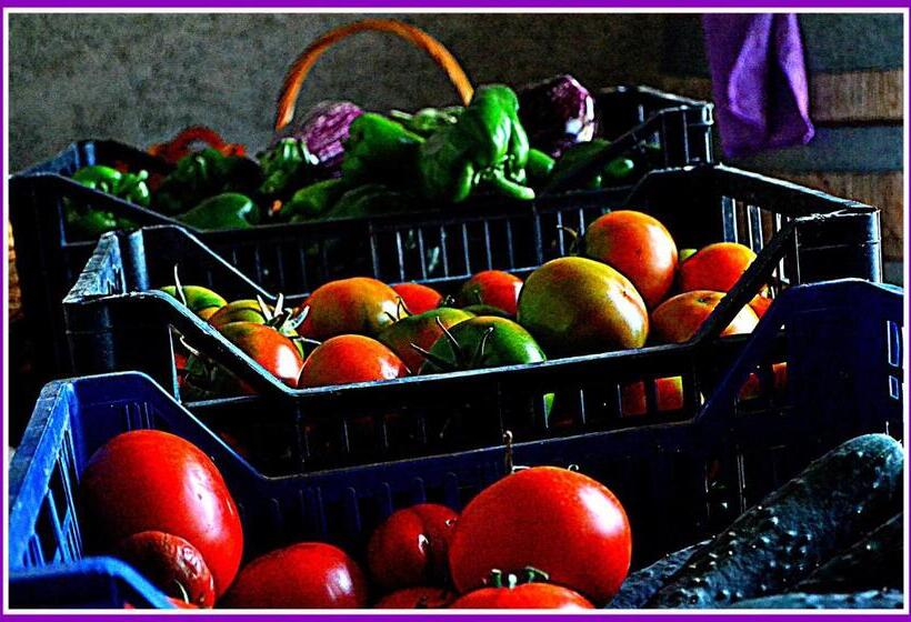 호텔 Agriturismo Il Tripesce