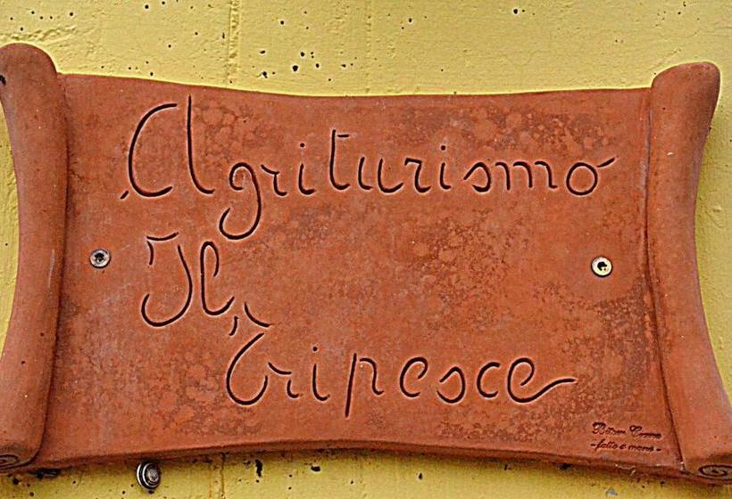 호텔 Agriturismo Il Tripesce