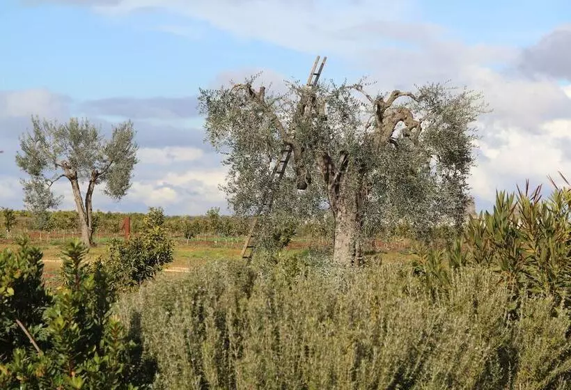 Hotelli Agrumare Farm Holiday