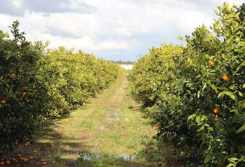 Hotelli Agrumare Farm Holiday