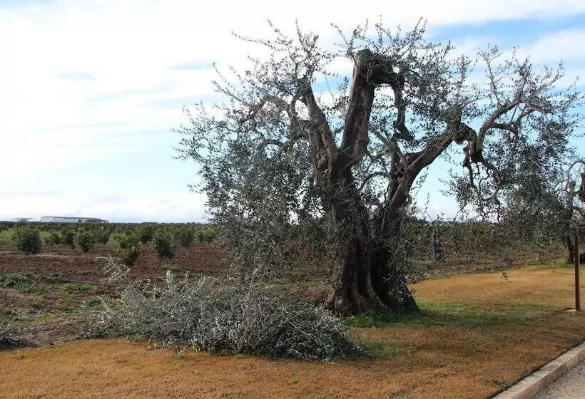 Hotelli Agrumare Farm Holiday