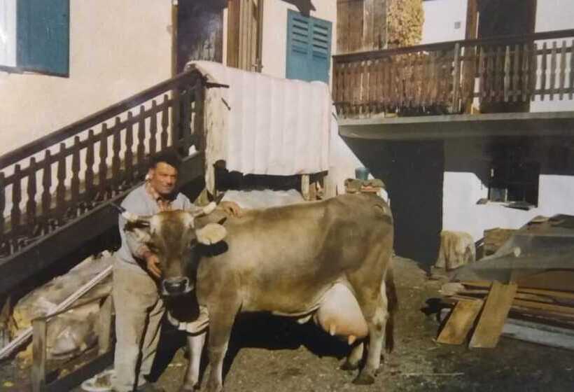 بنسيون Majon De La Nona