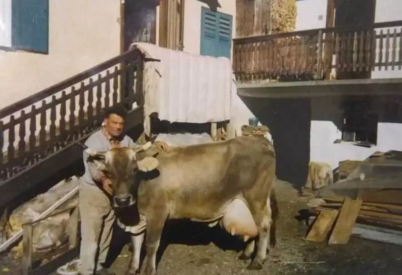 Majatalo Majon De La Nona