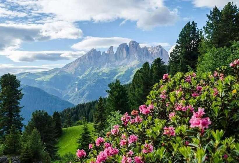 بنسيون Majon De La Nona