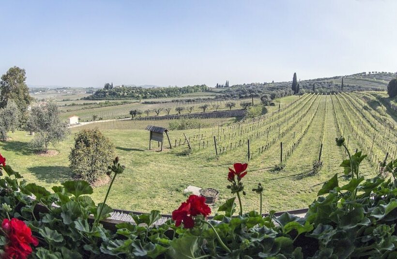 בית מלון כפרי Costa Degli Ulivi