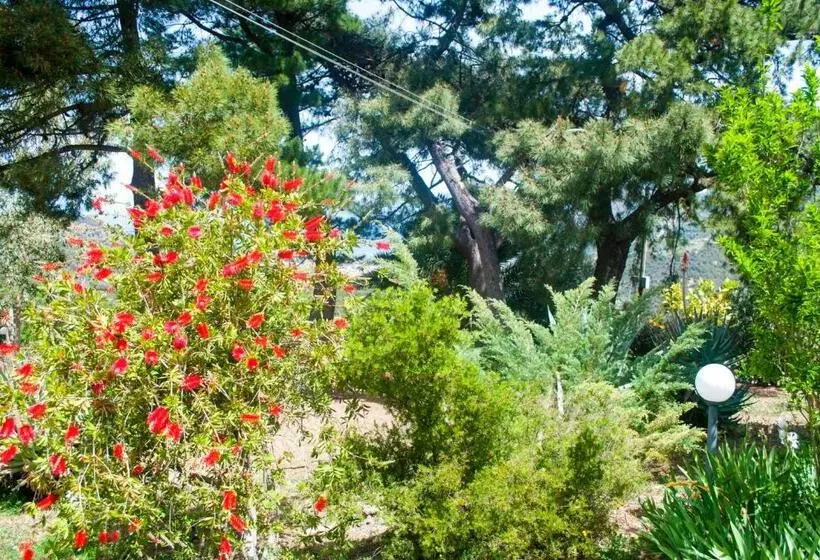 ホテル Agriturismo Fattoria Di Grenne