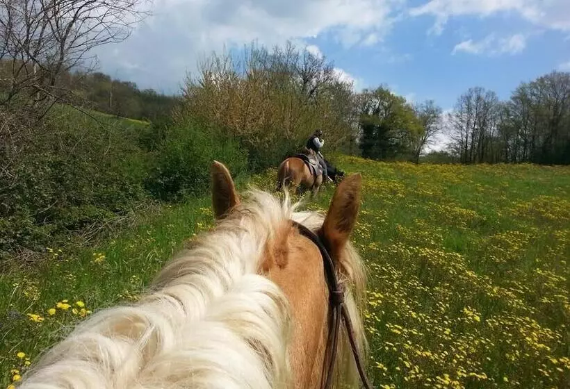 ホテル Agriturismo Yes Boss