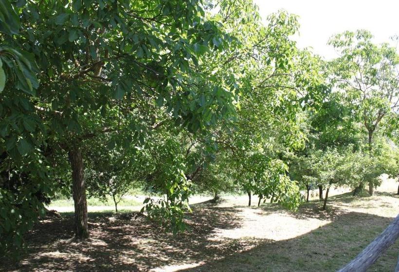 酒店 Il Vallone Di Melezzole